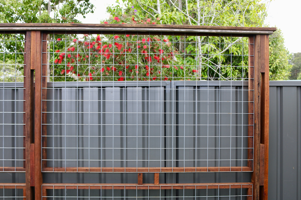 Trellis 1.png Trellis 1.png