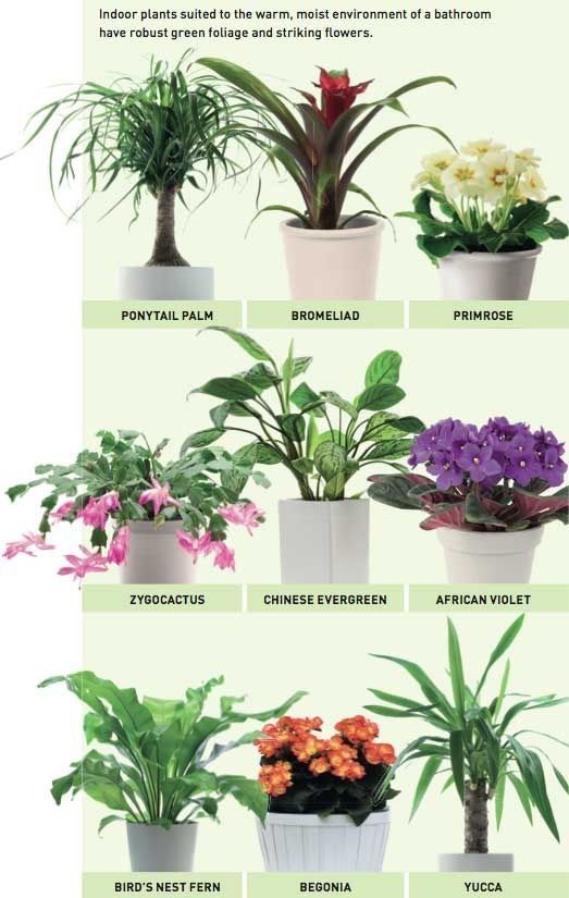 DF278FA2-E8E9-47D4-AD79-028DC3FF57B4.jpeg DF278FA2-E8E9-47D4-AD79-028DC3FF57B4.jpeg