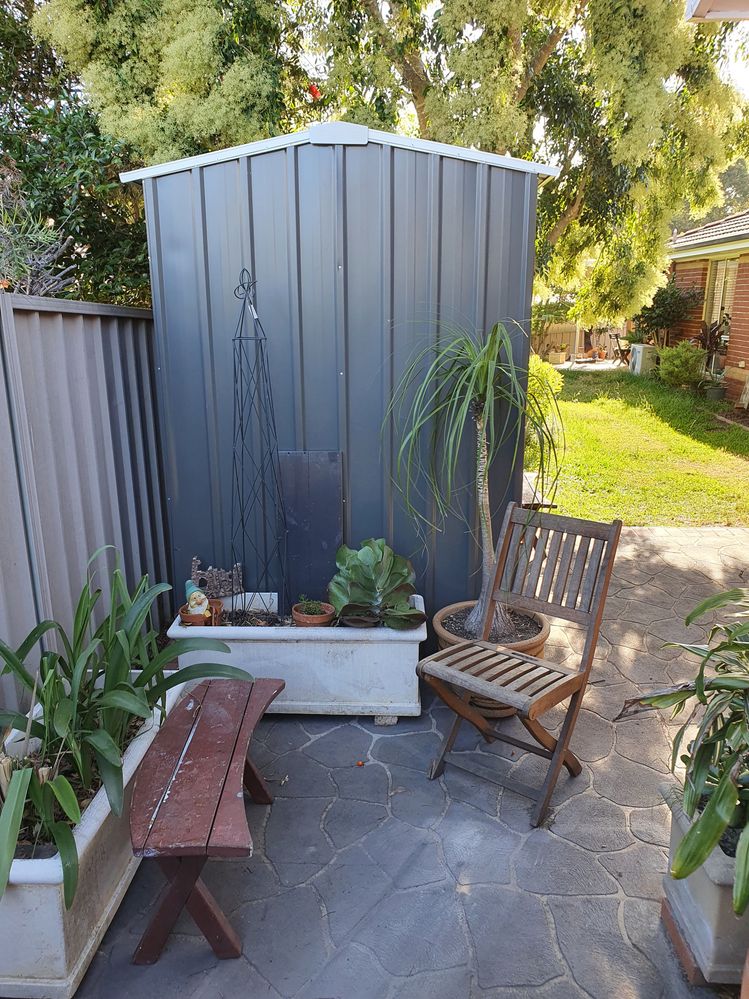 20201206_173244.jpeg 20201206_173244.jpeg