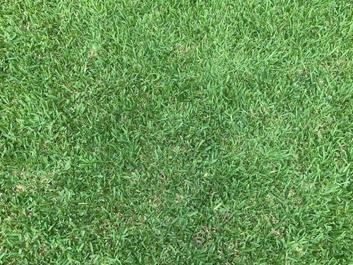 IMG_1021.jpeg IMG_1021.jpeg