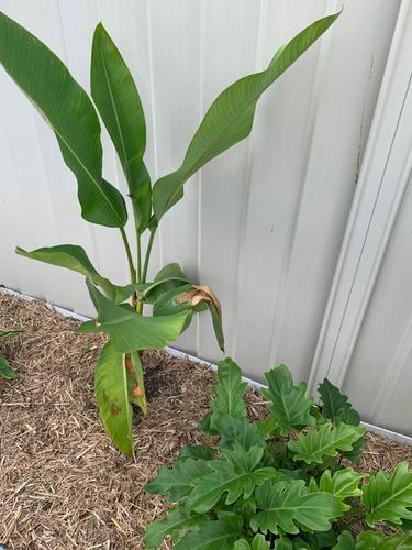 IMG_1958.jpg IMG_1958.jpg