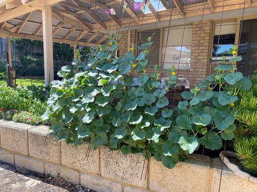 IMG_9822.jpeg IMG_9822.jpeg