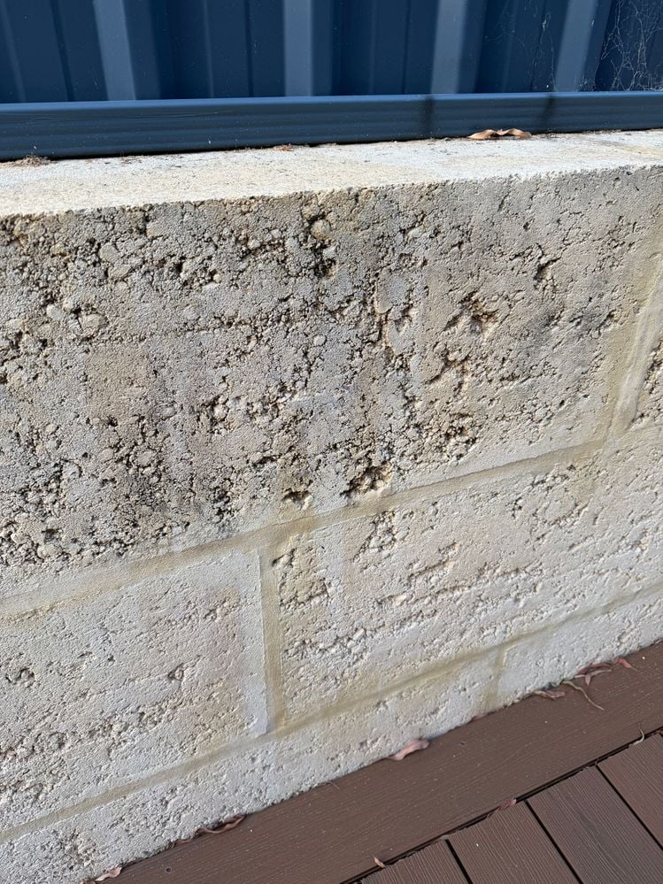 IMG_5593.jpeg IMG_5593.jpeg