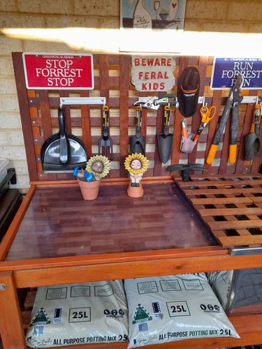 20211120_174920.jpg 20211120_174920.jpg