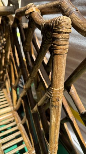 IMG_3124.jpeg IMG_3124.jpeg