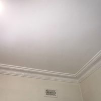 5.5 Finished ceiling.png 5.5 Finished ceiling.png