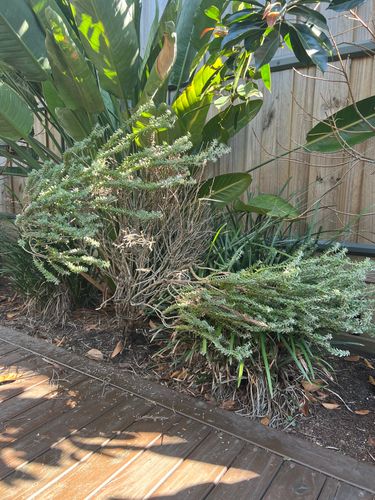 IMG_3173.jpeg IMG_3173.jpeg