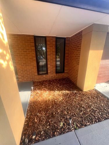 IMG_2554.jpeg IMG_2554.jpeg