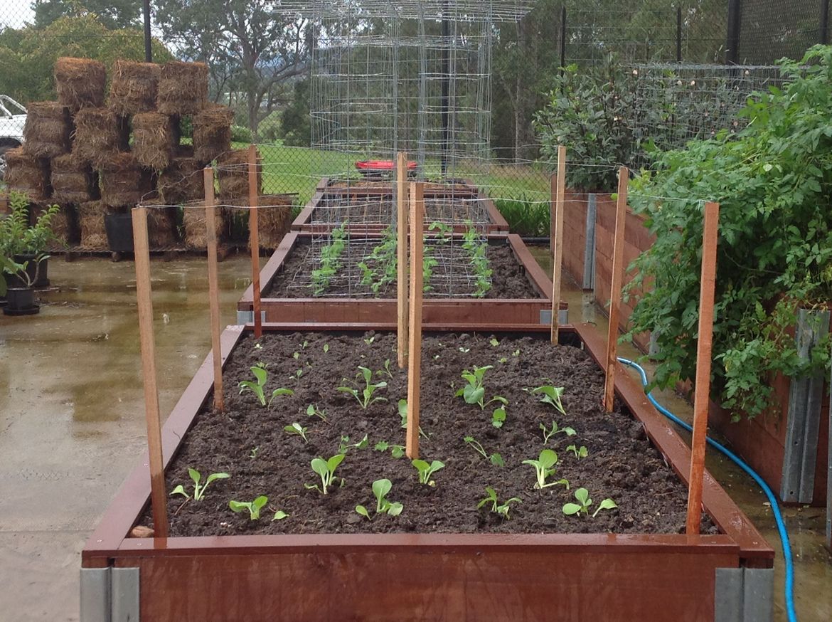 IMG_6473.JPG IMG_6473.JPG