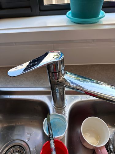 IMG_9649.jpeg IMG_9649.jpeg