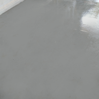 6.4. Clean garage floor with no stains.png 6.4. Clean garage floor with no stains.png