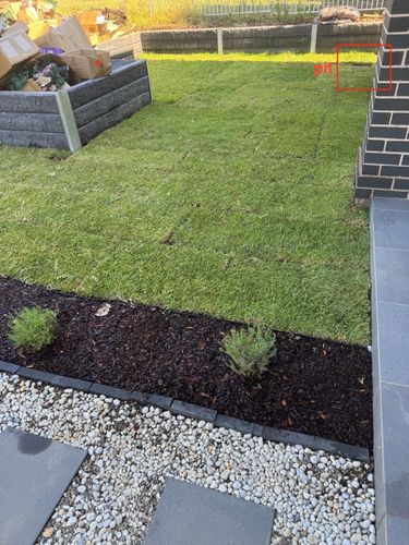 IMG_3568.jpeg IMG_3568.jpeg