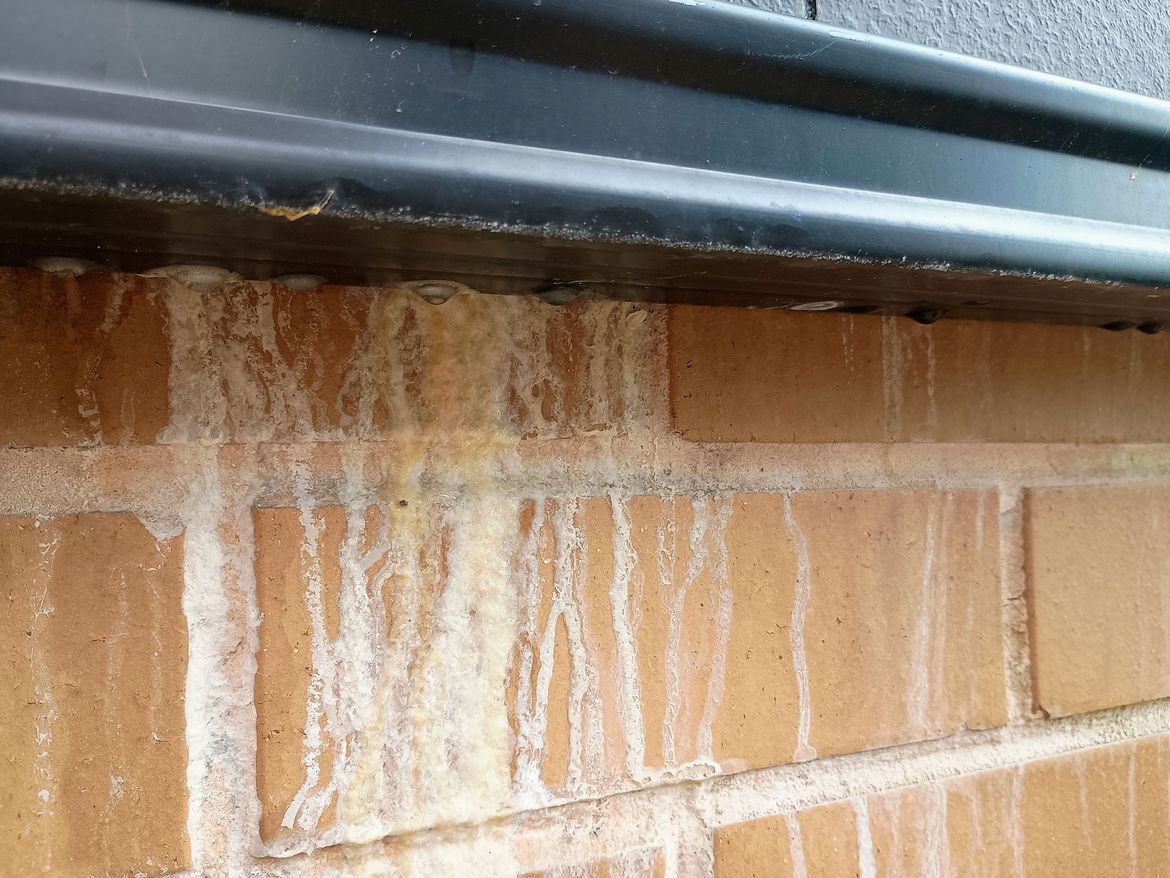 IMG_20250111_105230975_AE.jpg IMG_20250111_105230975_AE.jpg