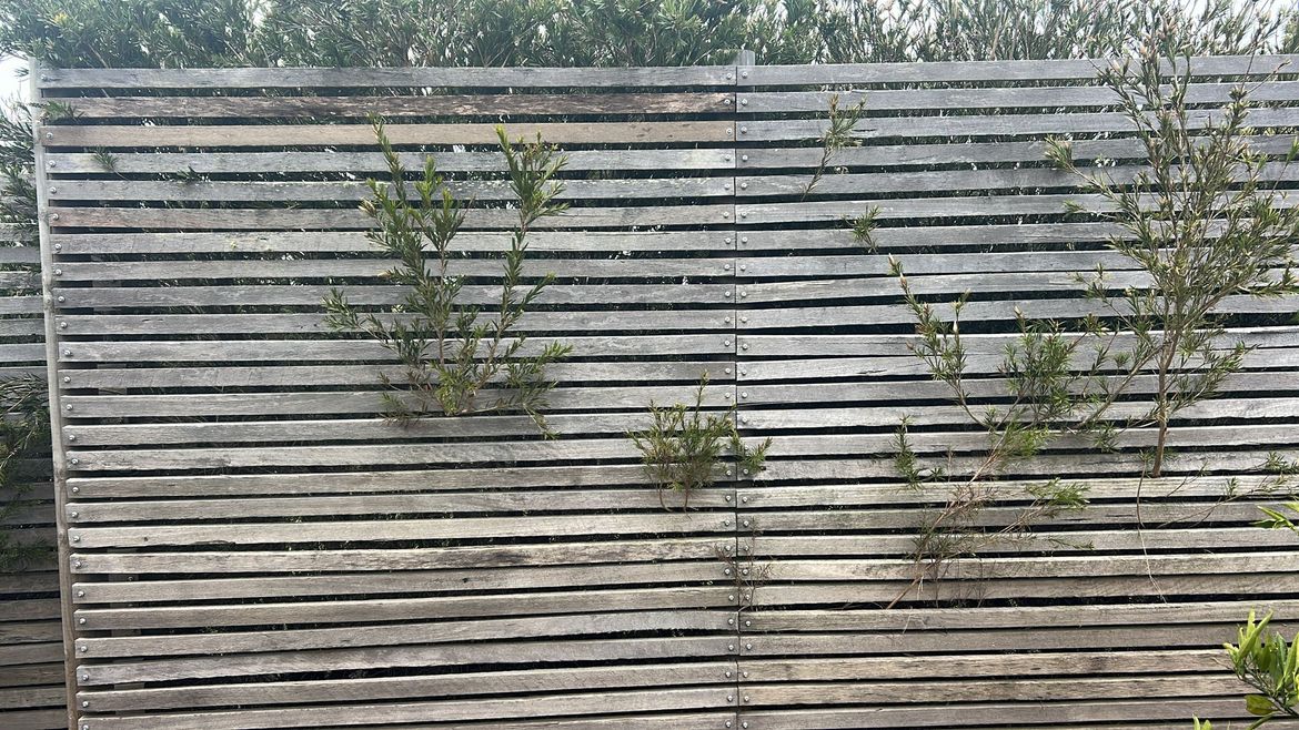 822b4f79-5e83-4fe5-aa19-004bdef9ade0.jpeg 822b4f79-5e83-4fe5-aa19-004bdef9ade0.jpeg