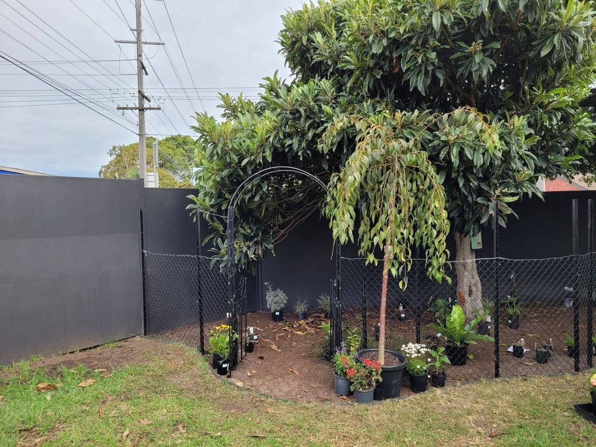 20220404_141544.jpg 20220404_141544.jpg