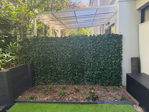 IMG_4525.jpeg IMG_4525.jpeg