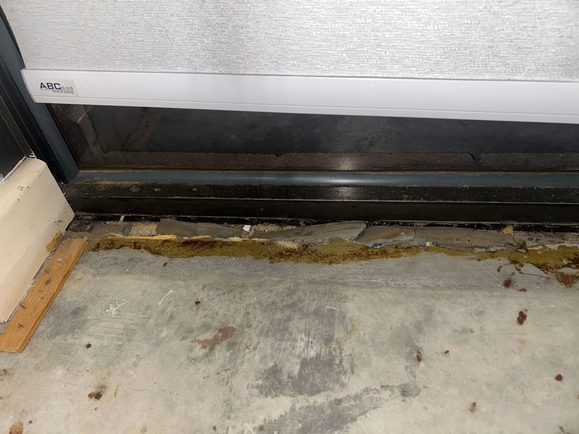 IMG_5298.JPG IMG_5298.JPG