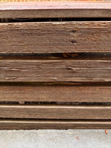 IMG_0133.jpeg IMG_0133.jpeg