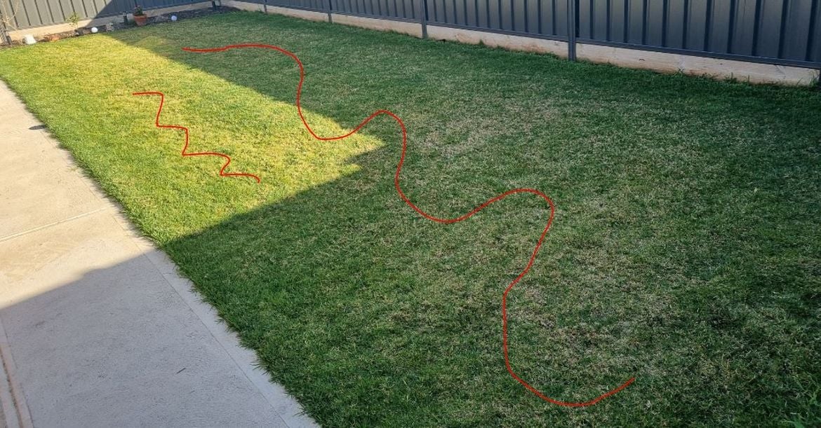 Turf Backyard.JPG Turf Backyard.JPG