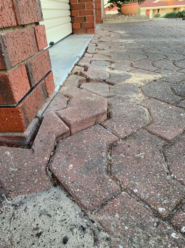 IMG_4307.JPG IMG_4307.JPG