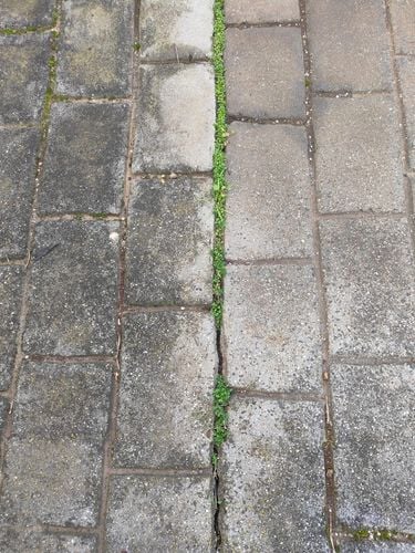 1000078900.jpg 1000078900.jpg