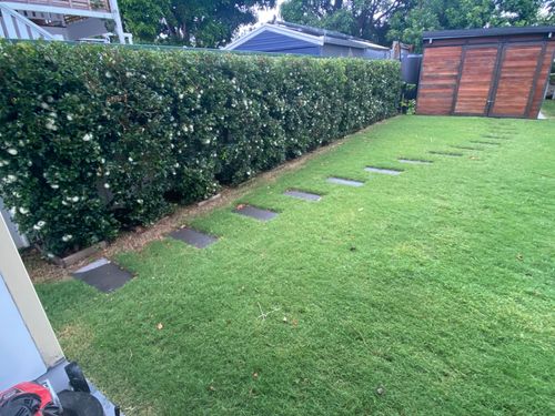 EFD13BC6-4A5C-4D50-8B05-C648156BB187.jpeg EFD13BC6-4A5C-4D50-8B05-C648156BB187.jpeg