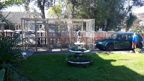 20200614_121059.jpg 20200614_121059.jpg