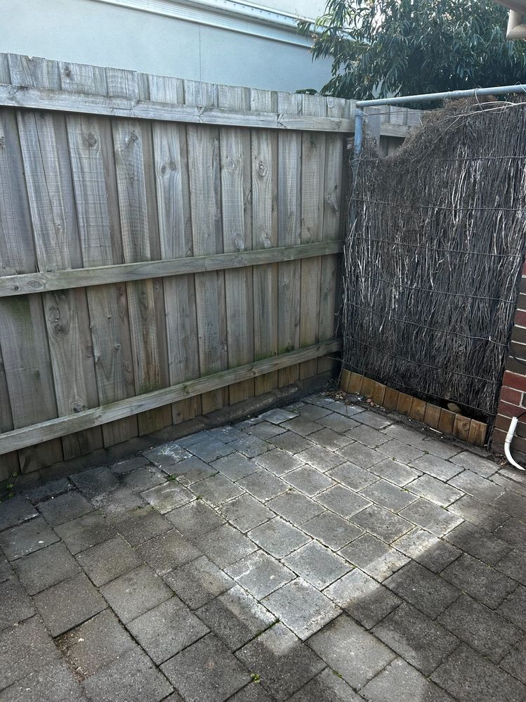 IMG_0549.jpg IMG_0549.jpg