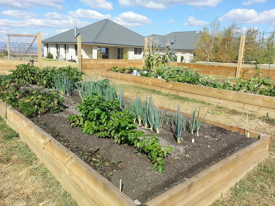 Vege Garden Vege Garden