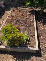 IMG_7195.JPG IMG_7195.JPG