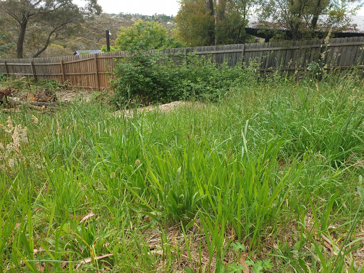 20211120_140817.jpg 20211120_140817.jpg