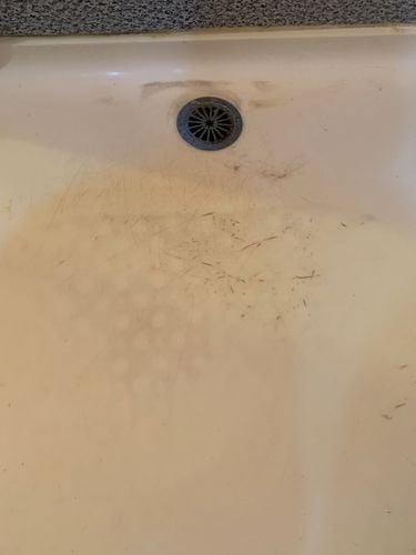 7D48020F-5AAD-4736-816F-182F87126290.jpeg 7D48020F-5AAD-4736-816F-182F87126290.jpeg