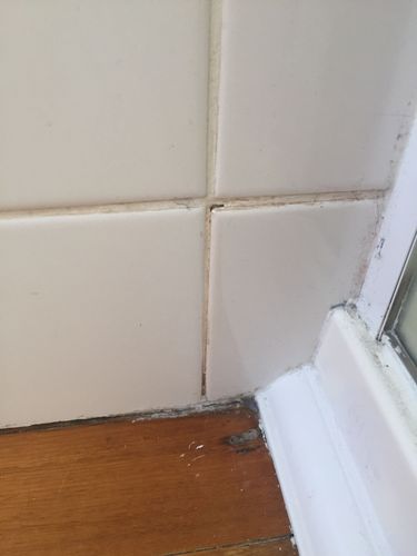 D45FA137-AE30-494D-89EE-FC1B5C84191B.jpeg D45FA137-AE30-494D-89EE-FC1B5C84191B.jpeg