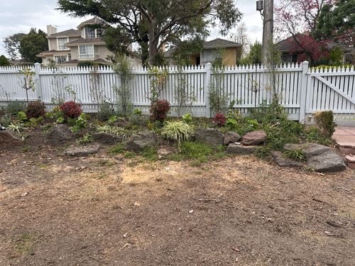 IMG_C6F0E2A7-BE93-4E53-BB39-3F774D4B6E7D.jpeg IMG_C6F0E2A7-BE93-4E53-BB39-3F774D4B6E7D.jpeg