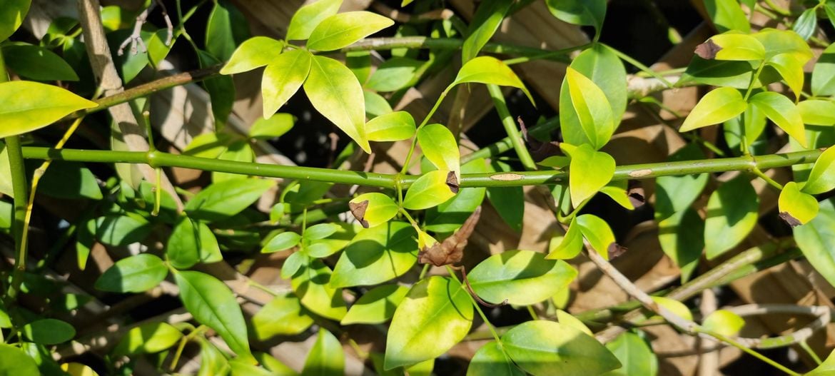 20241206_093221.jpg 20241206_093221.jpg