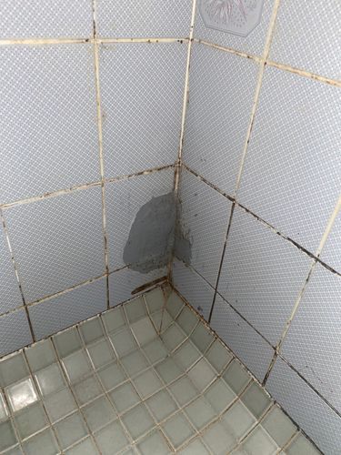 IMG_2430.jpeg IMG_2430.jpeg