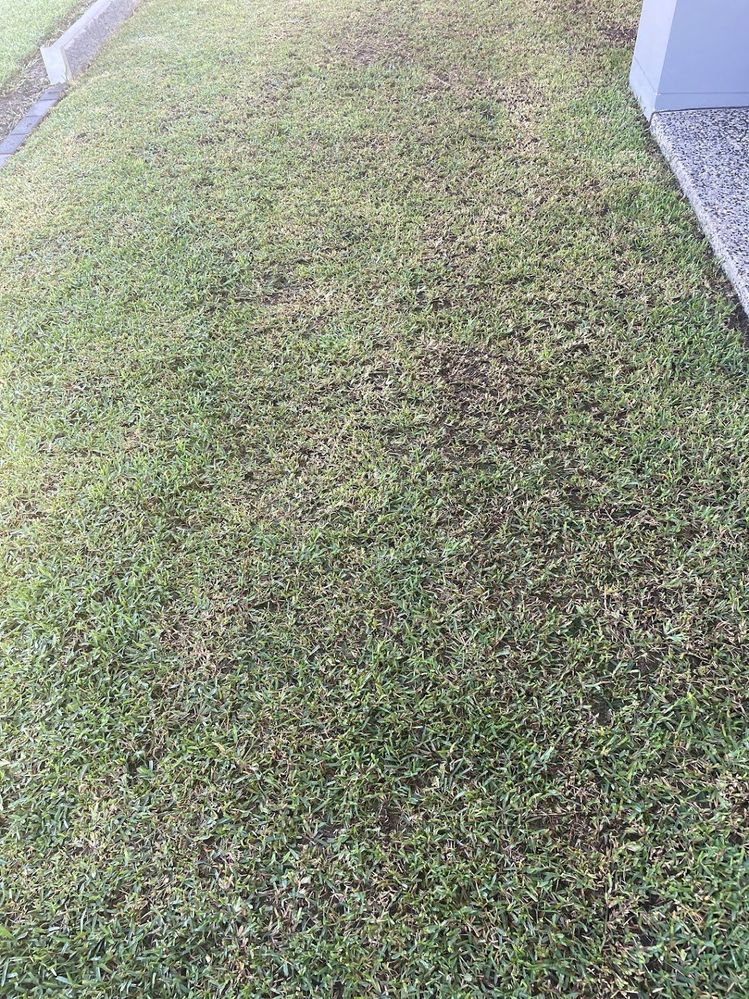 IMG_6230.jpg IMG_6230.jpg