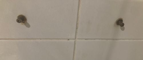 IMG_8733.jpeg IMG_8733.jpeg