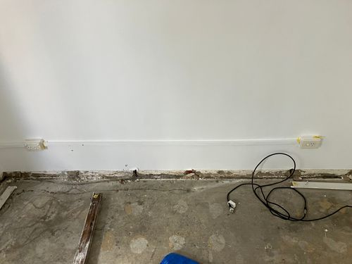 IMG_0869.jpeg IMG_0869.jpeg