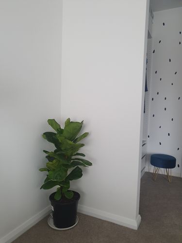 20210321_163919.jpg 20210321_163919.jpg