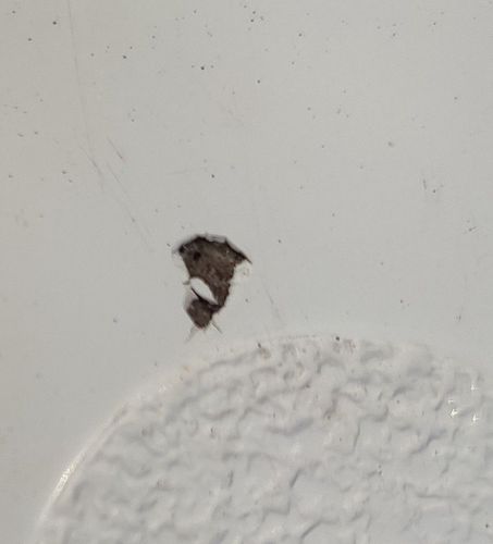 IMG_20220930_132804~2.jpg IMG_20220930_132804~2.jpg