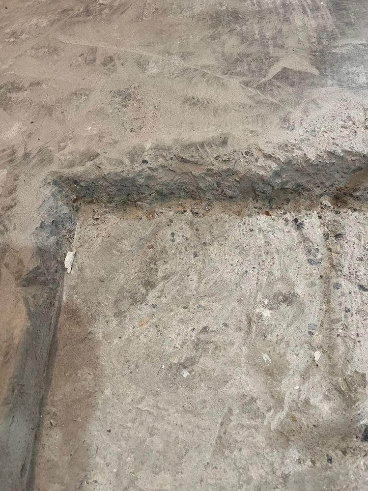 IMG_1252.jpeg IMG_1252.jpeg