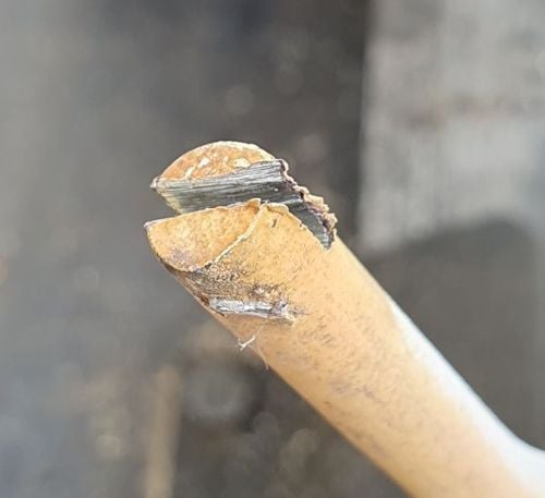 MitchellMc_1-1695437710807.jpeg MitchellMc_1-1695437710807.jpeg