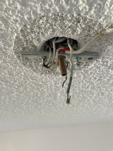 IMG_7018.jpeg IMG_7018.jpeg