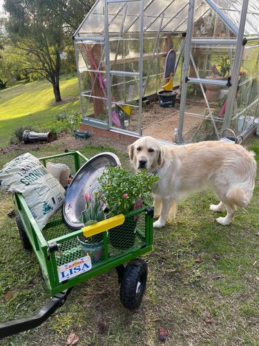 0E85EF8E-8EE7-4034-BFF0-C12D7A4201B2.jpeg 0E85EF8E-8EE7-4034-BFF0-C12D7A4201B2.jpeg