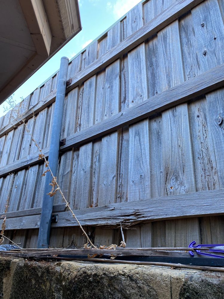 IMG_3825.jpeg IMG_3825.jpeg