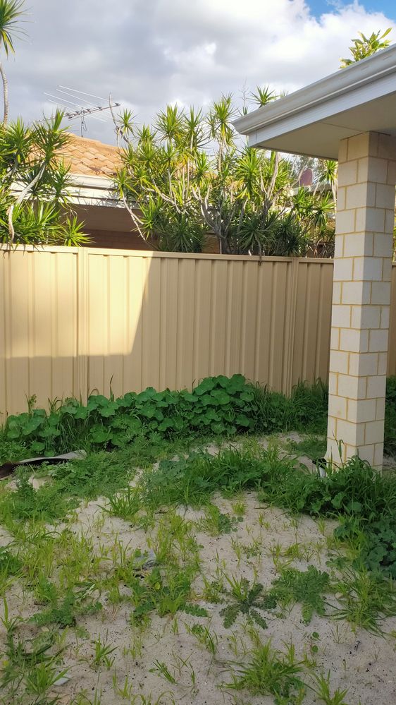 IMG20240809153004.jpg IMG20240809153004.jpg