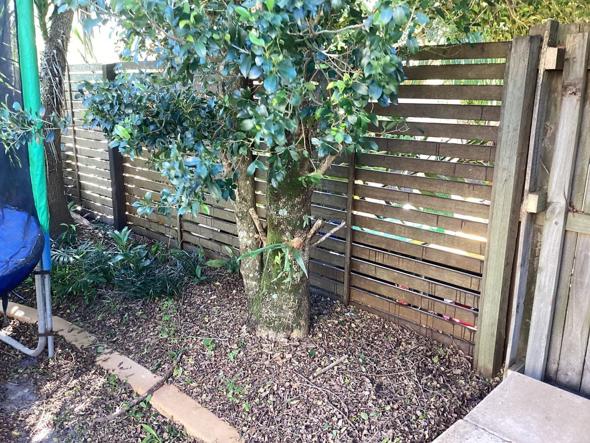 IMG_0740.jpg IMG_0740.jpg