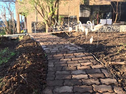 96 10-09-2022.jpg 96 10-09-2022.jpg