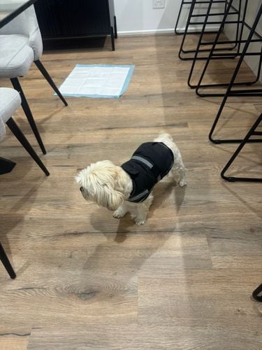 IMG_2428.jpeg IMG_2428.jpeg